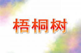 小班科学梧桐树PPT课件