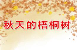 小班科学秋天的梧桐树PPT课件