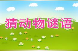 中班语言猜动物谜语PPT课件