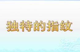 大班科学活动独特的指纹PPT课件