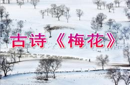 大班古诗梅花PPT课件