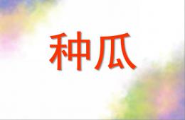 大班语言种瓜PPT课件