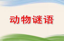 中班语言动物谜语PPT课件