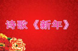 大班诗歌新年PPT课件
