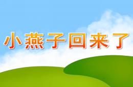 中班科学活动小燕子回来了PPT课件