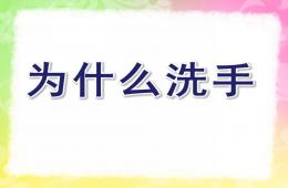 小班健康为什么洗手PPT课件