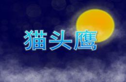 幼儿园美术猫头鹰PPT课件