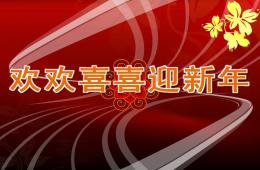 中班社会欢欢喜喜迎新年PPT课件