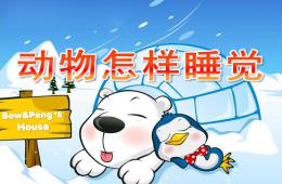 大班科学公开课动物怎样睡觉PPT课件