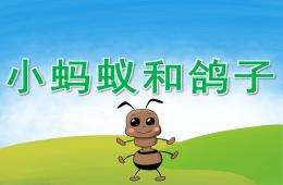 中班社会小蚂蚁和鸽子PPT课件