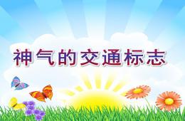 大班社会活动神气的交通标志PPT课件