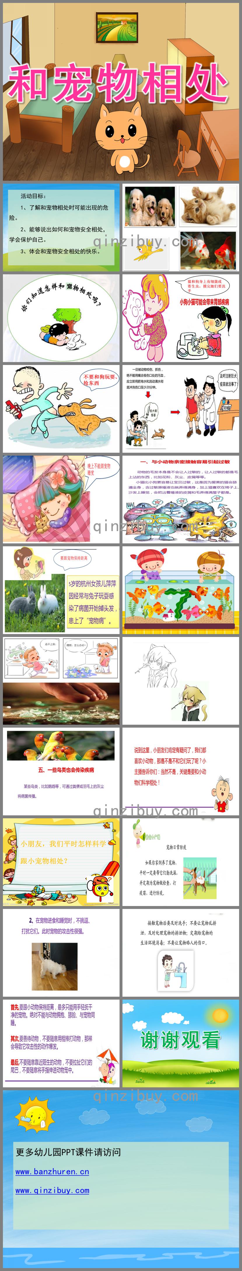 大班安全和宠物相处PPT课件