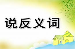 学前班说反义词PPT课件