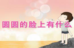 小班健康圆圆的脸上有什么PPT课件