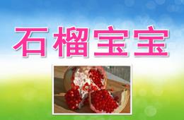 小班美术石榴宝宝PPT课件