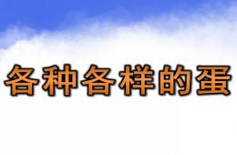 中班科学活动各种各样的蛋PPT课件