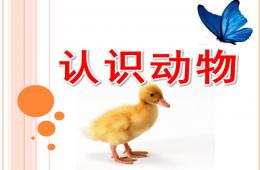大班科学认识动物PPT课件