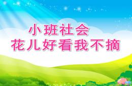 小班社会花儿好看我不摘PPT课件