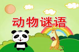 中班语言动物谜语PPT课件
