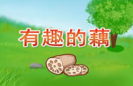 大班科学有趣的藕PPT课件