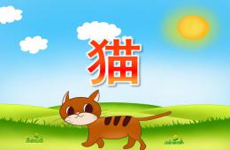 小班科学猫PPT课件