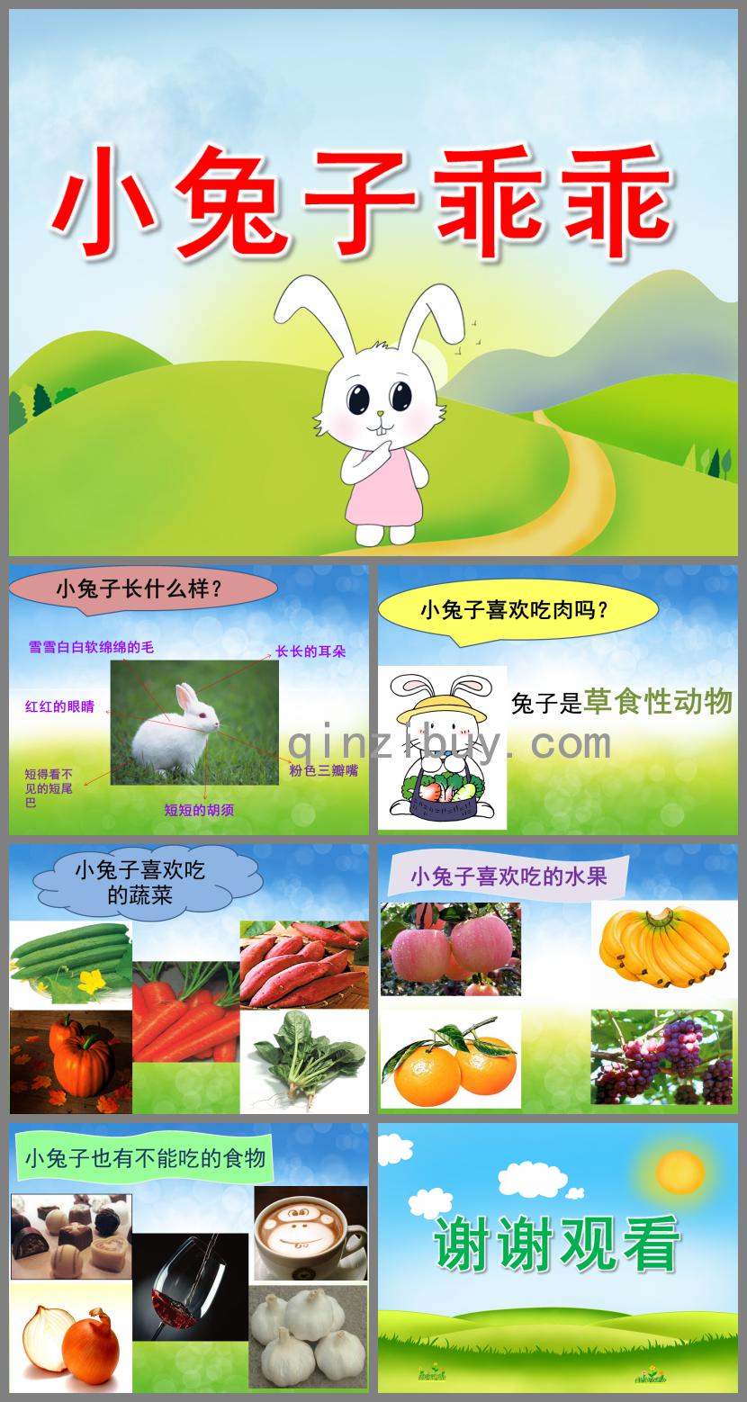 中班科学小兔子乖乖PPT课件