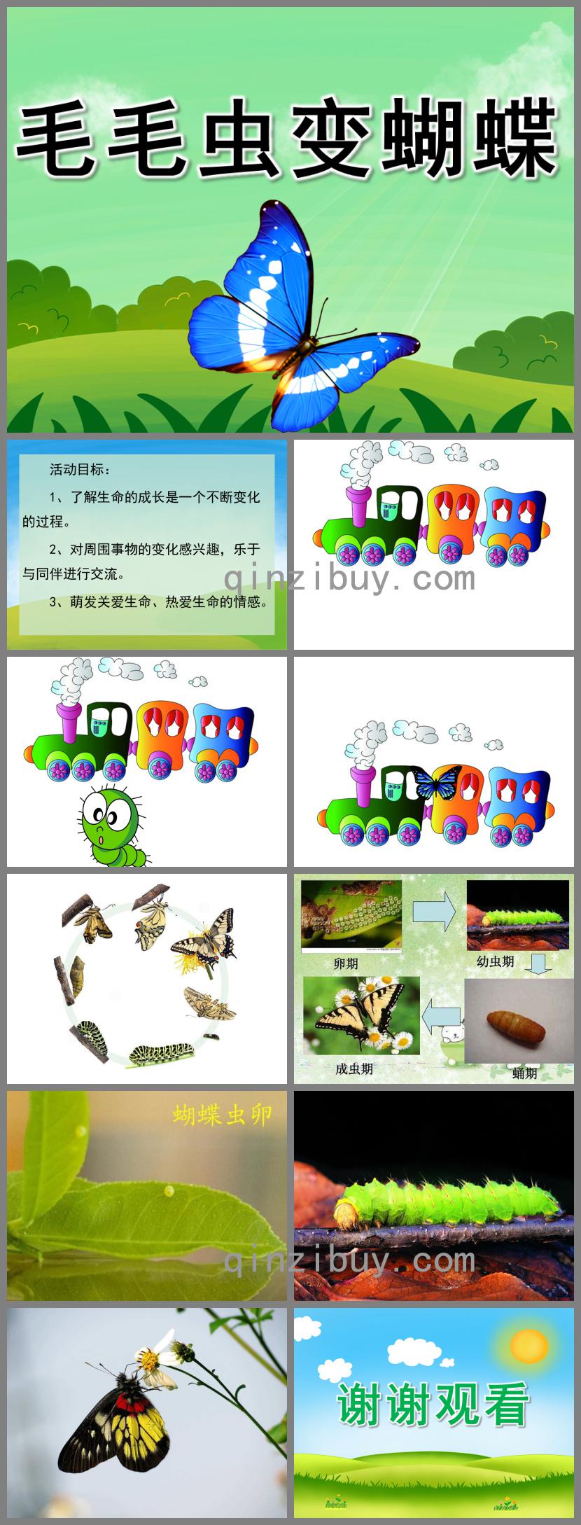 小班科学公开课毛毛虫变蝴蝶PPT课件