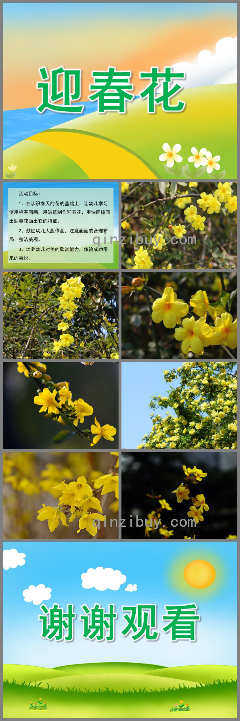 小班美术迎春花PPT课件