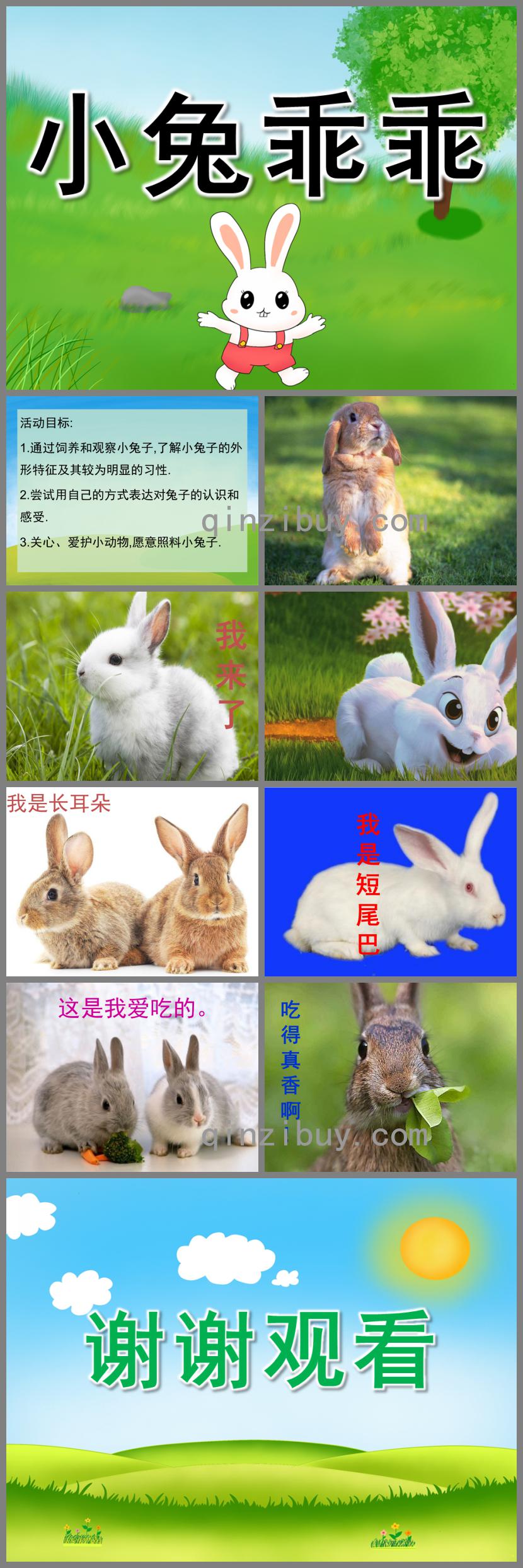 小班科学小兔乖乖PPT课件