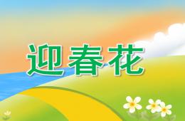 小班美术迎春花PPT课件