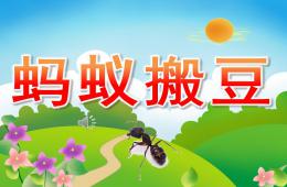 中班音乐蚂蚁搬豆PPT课件歌曲