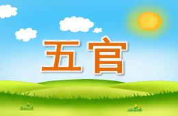 小班英语单词五官PPT课件