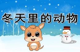 大班科学冬天里的动物PPT课件