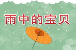 小班科学雨中的宝贝PPT课件