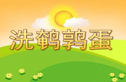 小班科学洗鹌鹑蛋PPT课件