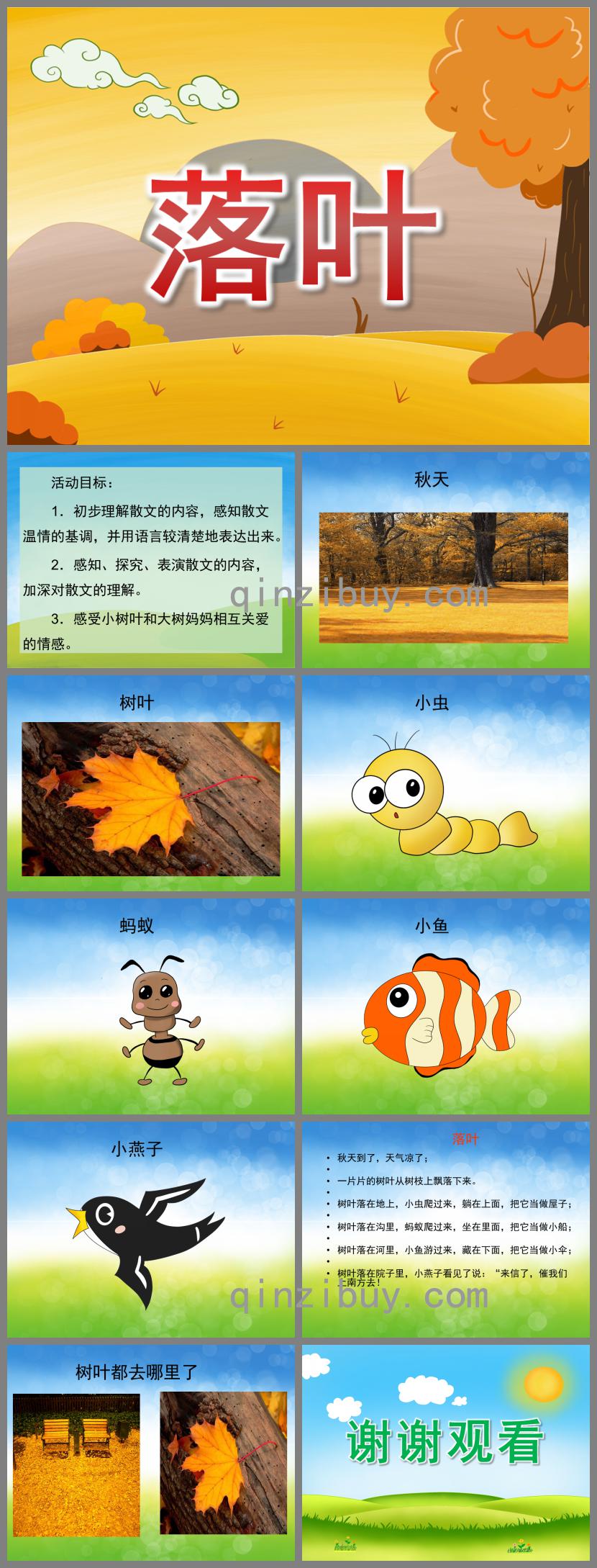 大班语言活动落叶PPT课件