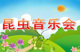 中班打击乐昆虫音乐会PPT课件歌曲
