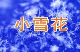 大班语言小雪花PPT课件音乐