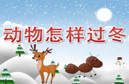 大班科学动物怎样过冬PPT课件