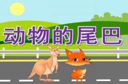 中班科学活动动物的尾巴PPT课件