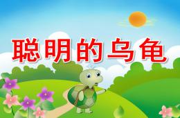 学前班故事聪明的乌龟PPT课件