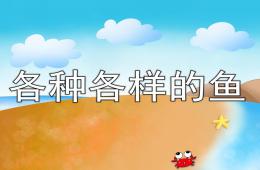 中班美术各种各样的鱼PPT课件
