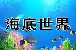 中班海底世界PPT课件