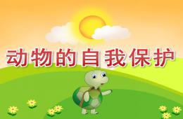 大班科学活动动物的自我保护PPT课件