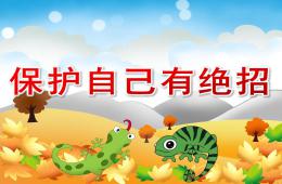 大班社会保护自己有绝招PPT课件