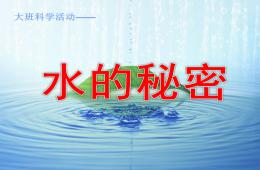 大班科学活动水的秘密PPT课件