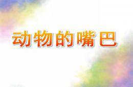 中班科学动物的嘴巴PPT课件