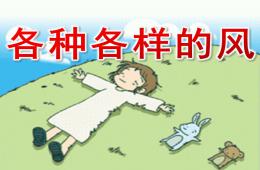 中班科学活动各种各样的风PPT课件