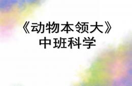 中班科学动物本领大PPT课件