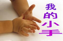 中班美术我的小手PPT课件